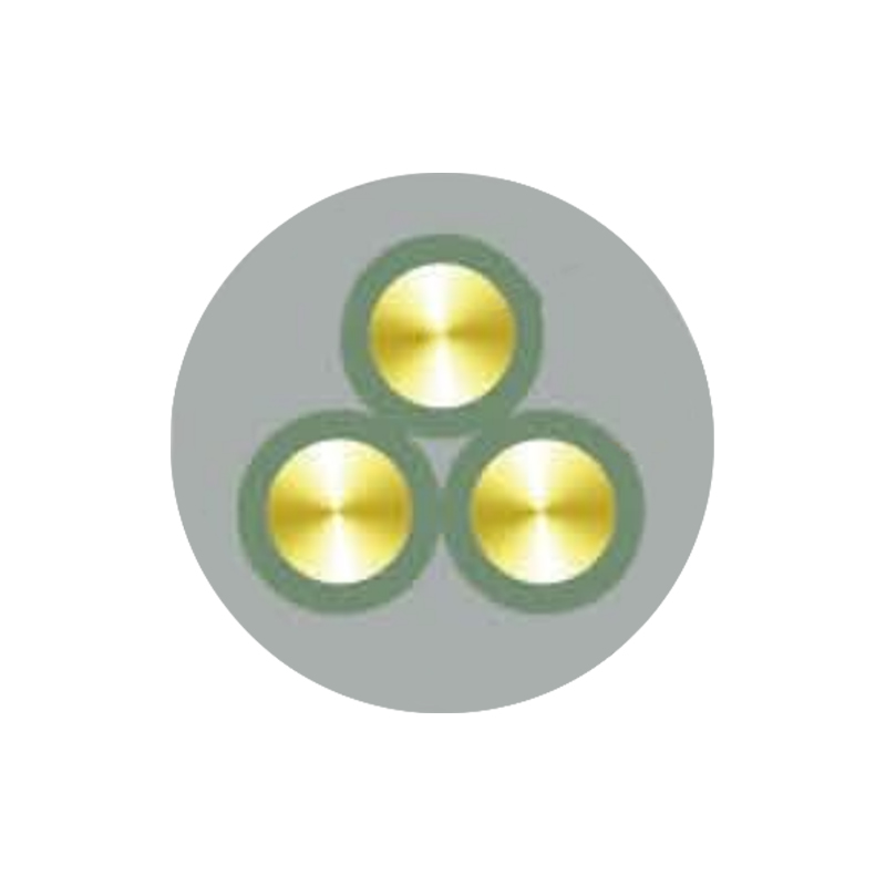 Cábla Inslithe Rubair Dhian de Voltas Rátaithe Suas Go dtí Agus 450/750V san áireamh