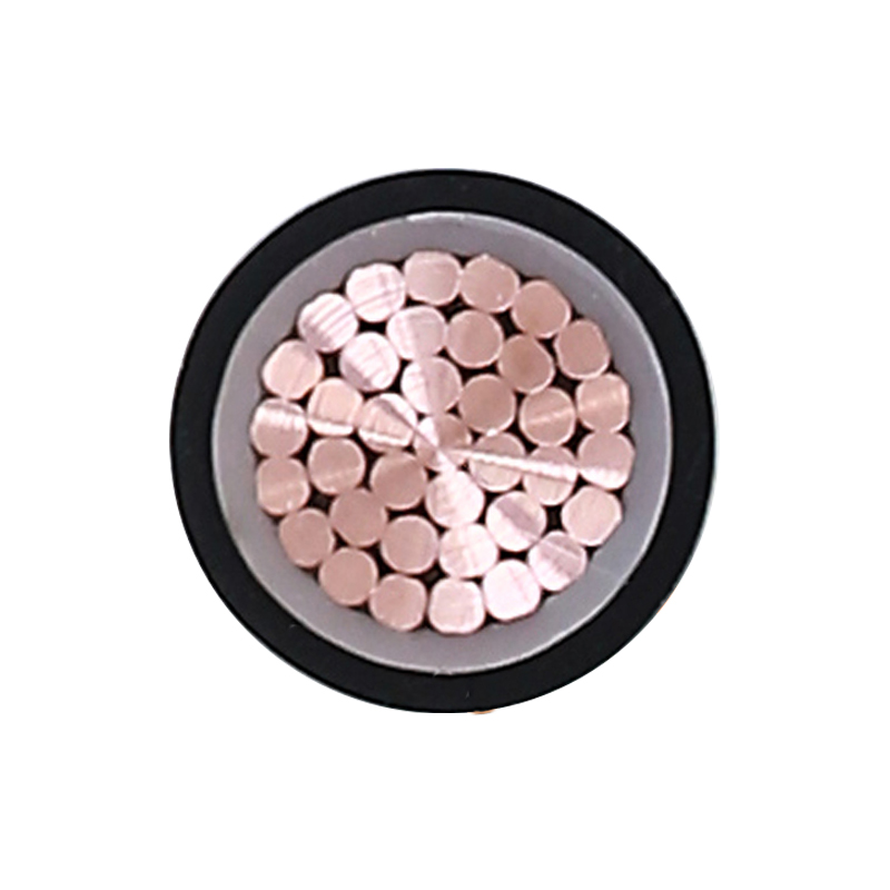 Cábla Muirir EV Do Voltas Rátáilte 450/750V