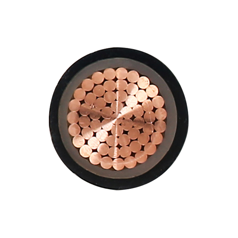 Cábla Muirir EV Do Voltas Rátáilte 450/750V