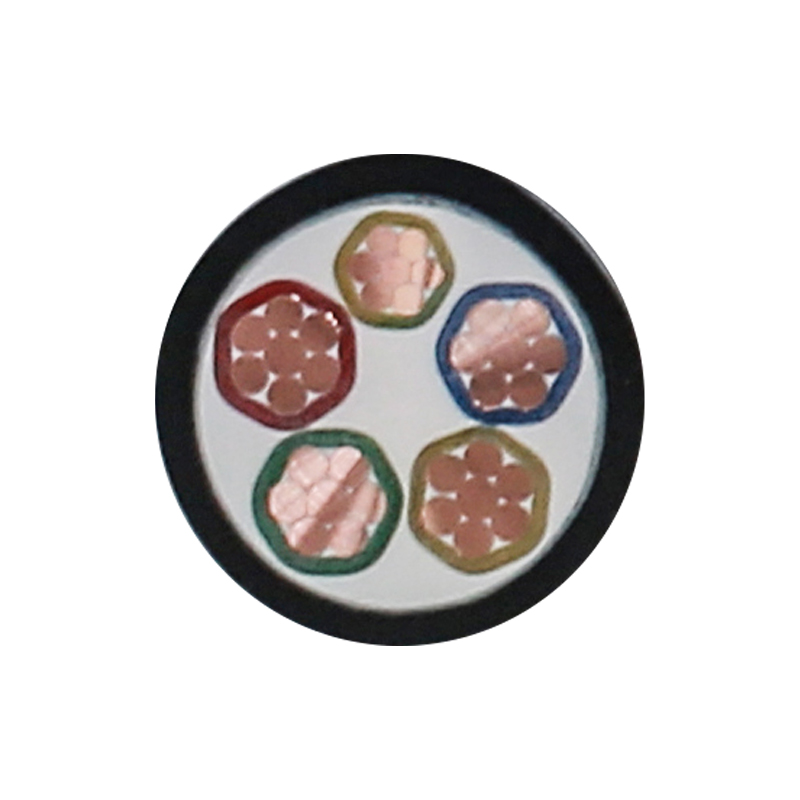 Cábla Muirir EV Do Voltas Rátáilte 450/750V