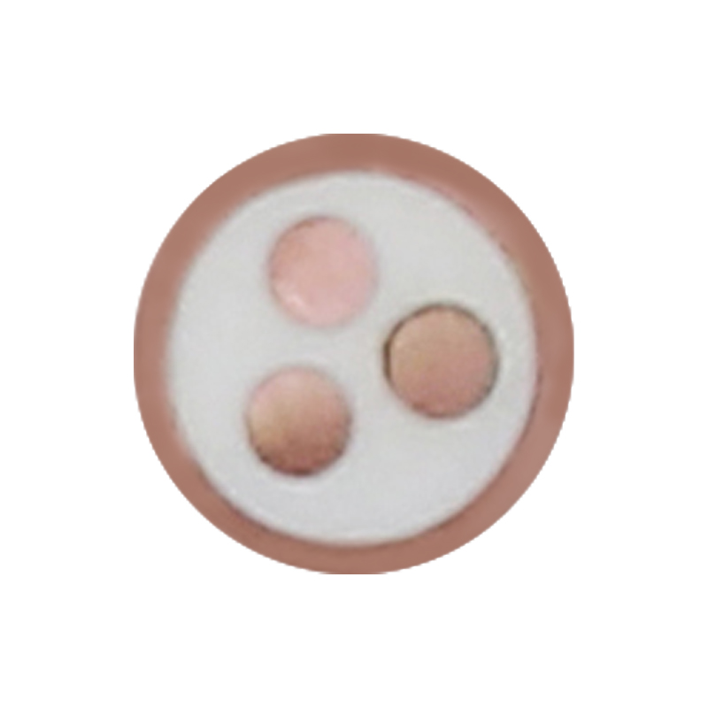 Cábla Muirir EV Do Voltas Rátáilte 450/750V