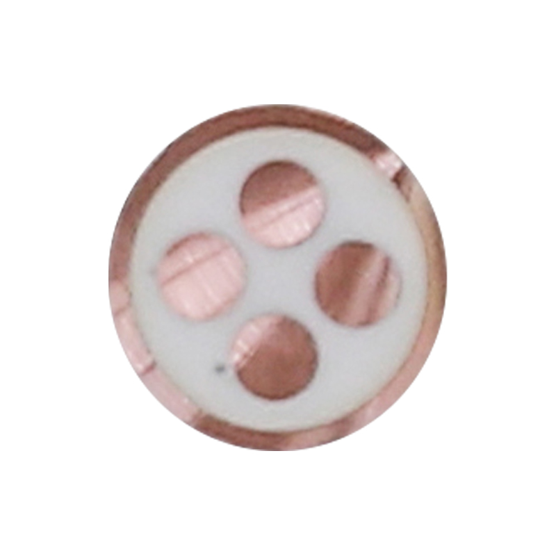 Cábla Muirir EV Do Voltas Rátáilte 450/750V