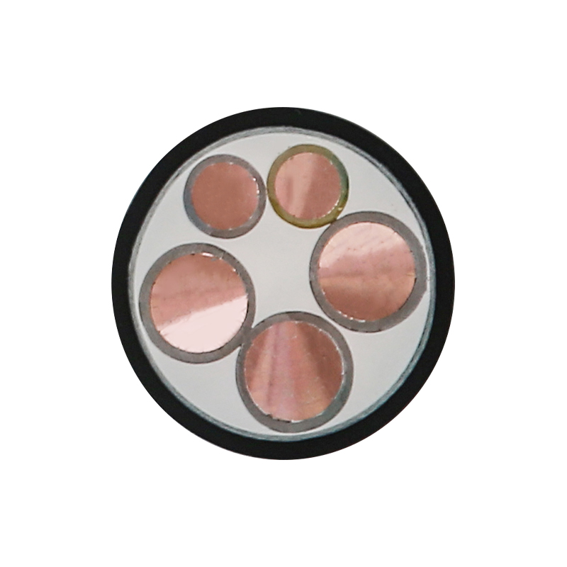 Cábla Muirir EV Do Voltas Rátáilte 450/750V