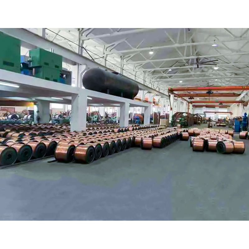 Cábla Inslithe XLPE/PVC (sreang) Voltas Rátáilte Suas go dtí 450/750V san áireamh